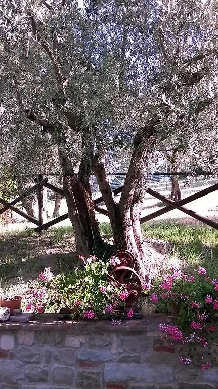 Agriturismo La Cantina San Martino Villa Assisi Italy